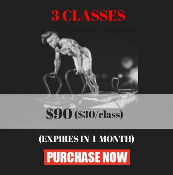3 Classes - Purchase Now