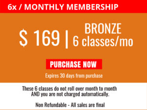6x - Bronze Level Monthly Membership